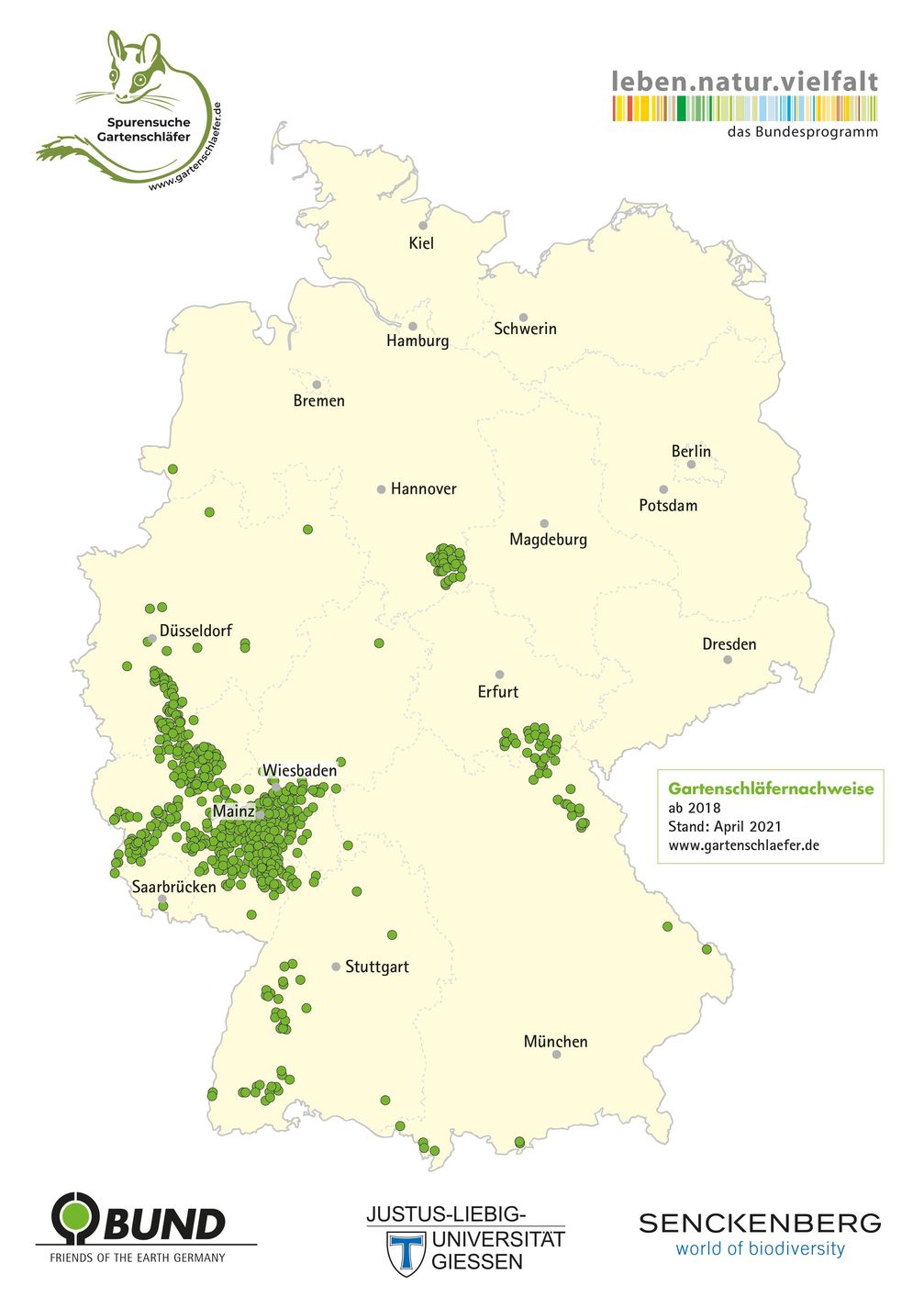 Nachweise von Gartenschläfervorkommen in Deutschland  Bild: BUND Fotograf: BUND/die projektoren