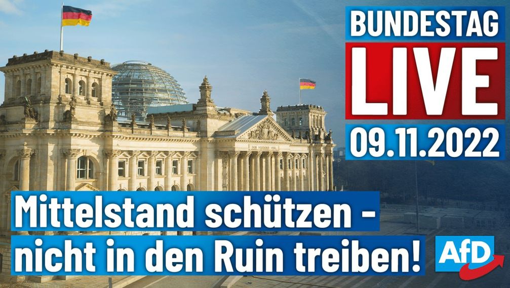 Bild: AfD Deutschland