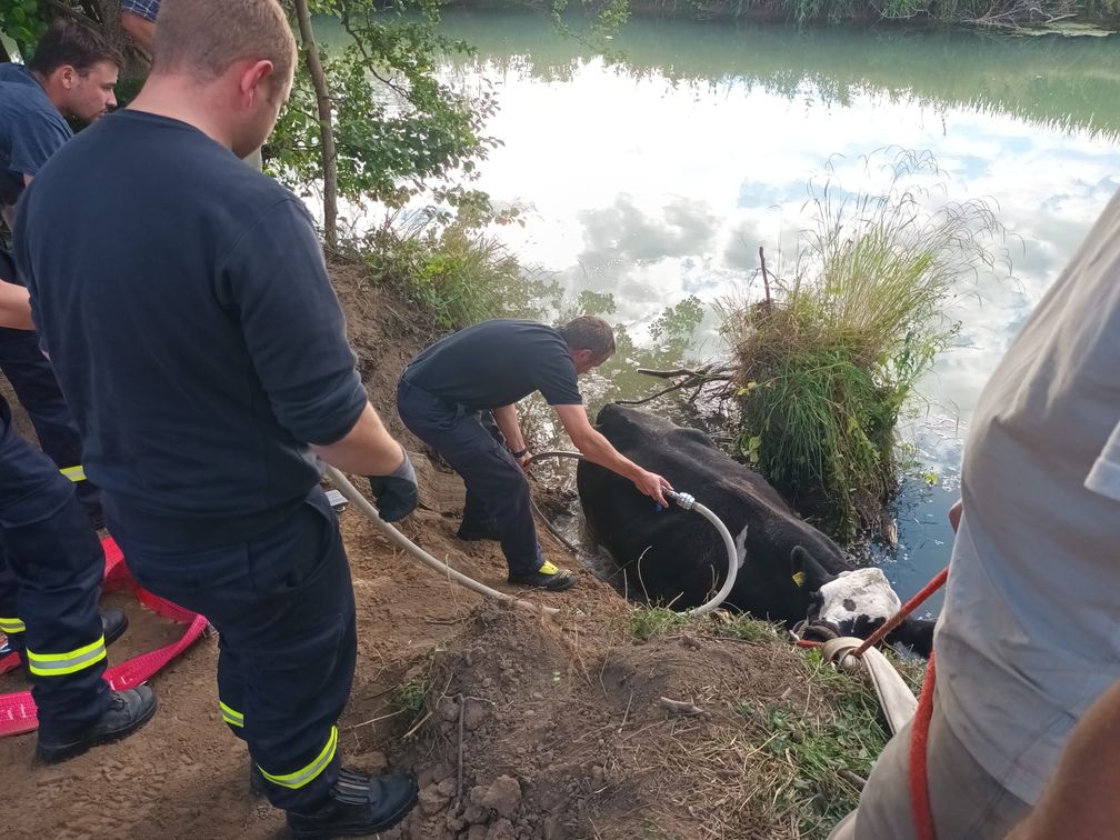 Bild: Feuerwehr Borgentreich