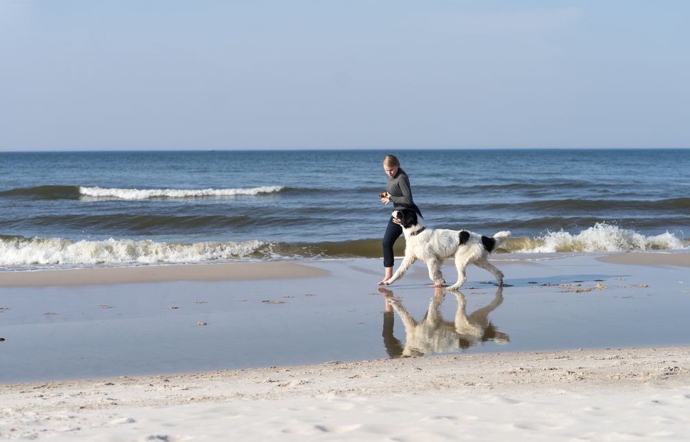 Bild: Shutterstock Fotograf: Foto: BfT/Ingrid Pakats/Shutter