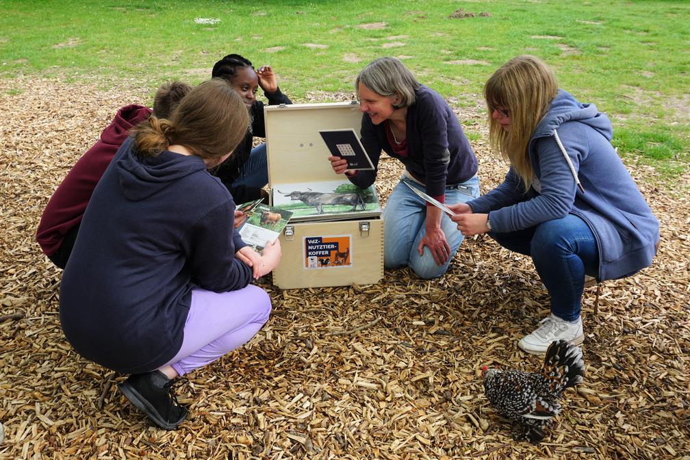 VdZ-Nutztierkoffer im Einsatz Bild: Verband der Zoologischen Gärten (VdZ) Fotograf: Tierpark Arche Warder