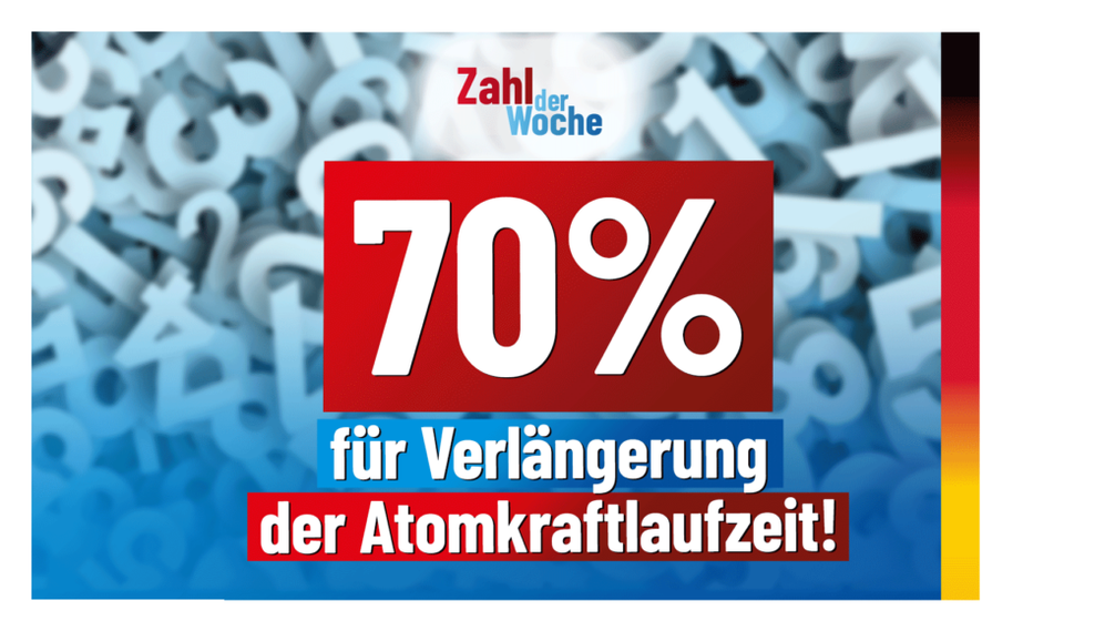 Bild: AfD Deutschland