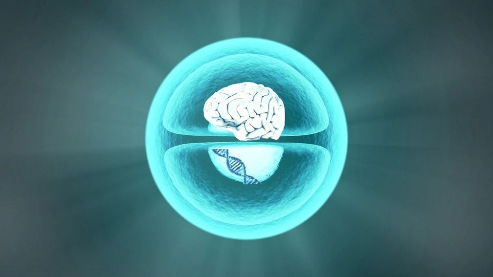 Haben unsere Körperzellen ein Gedächtnis? Und ist unsere DNA wirklich unveränderlich? Oder lernen unsere Zellen und unsere DNA auch aus dem, was uns widerfährt?