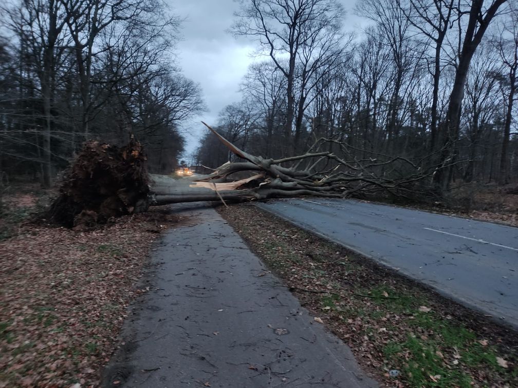 Sturm-bedingte Einsätze zum Orkantief. Fotos: Feuerwehr Kleve