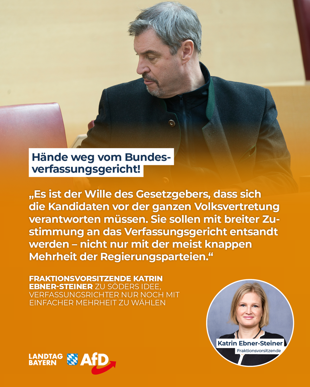 Bild: AfD Deutschland