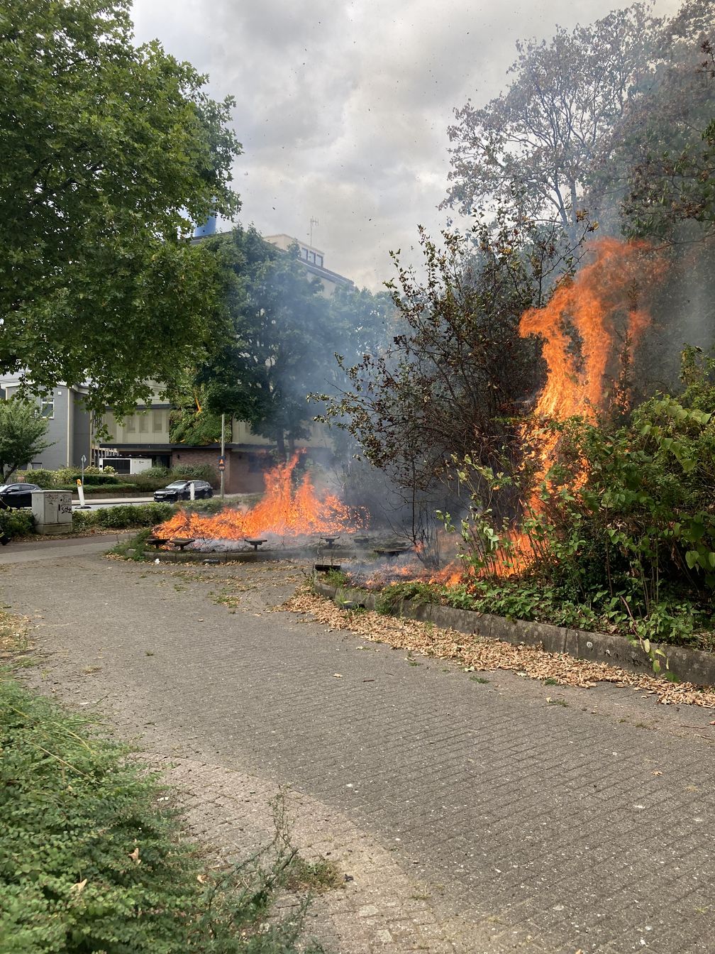 Bild: Feuerwehr