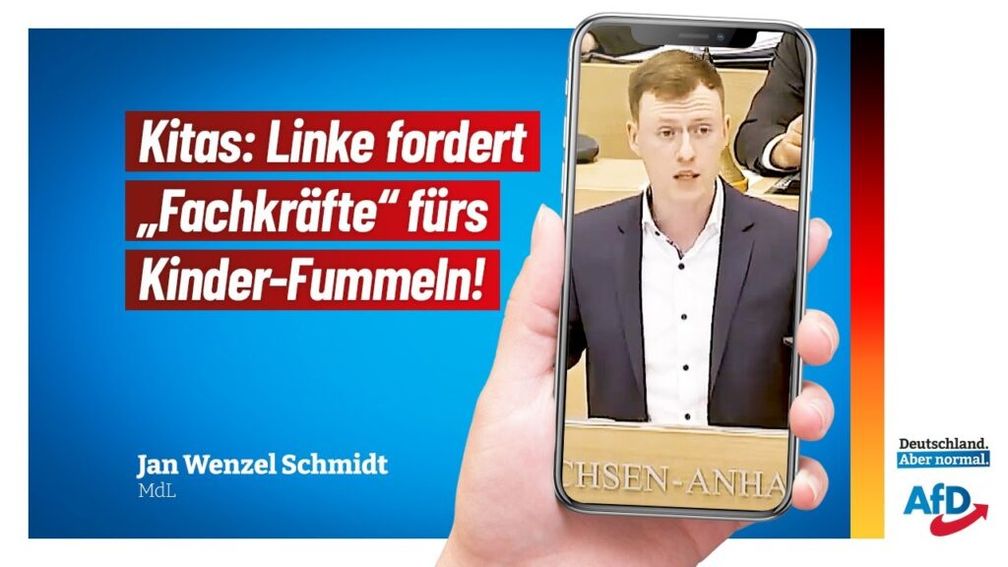 Bild: AfD Deutschland