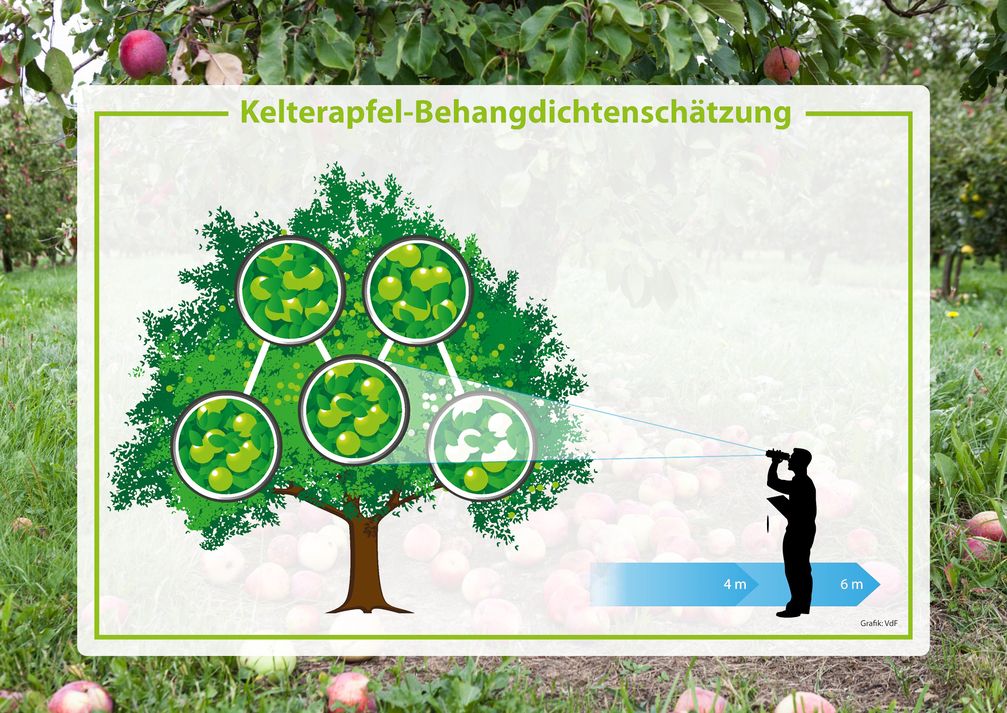 Bild: VdF Verband der deutschen Fruchtsaft-Industrie Fotograf: VdF e. V.