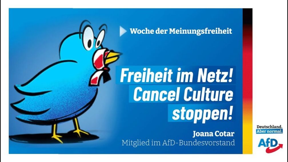 Bild: AfD Deutschland