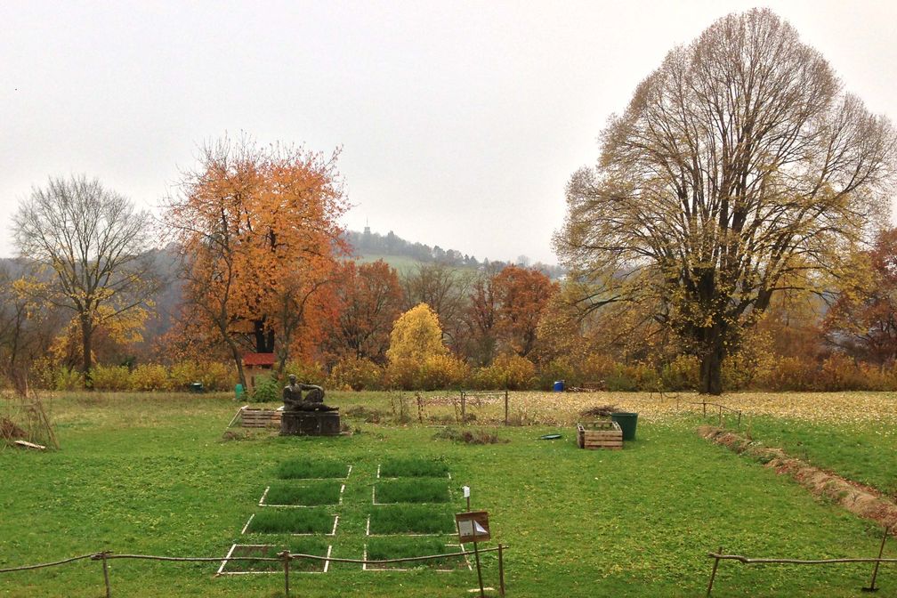 Terra-Preta-Projekt auf dem Sand in Tübingen