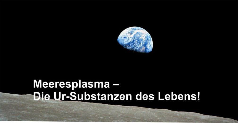 Meeresplasma-Die-Ur-Substanzen-des-Lebens-