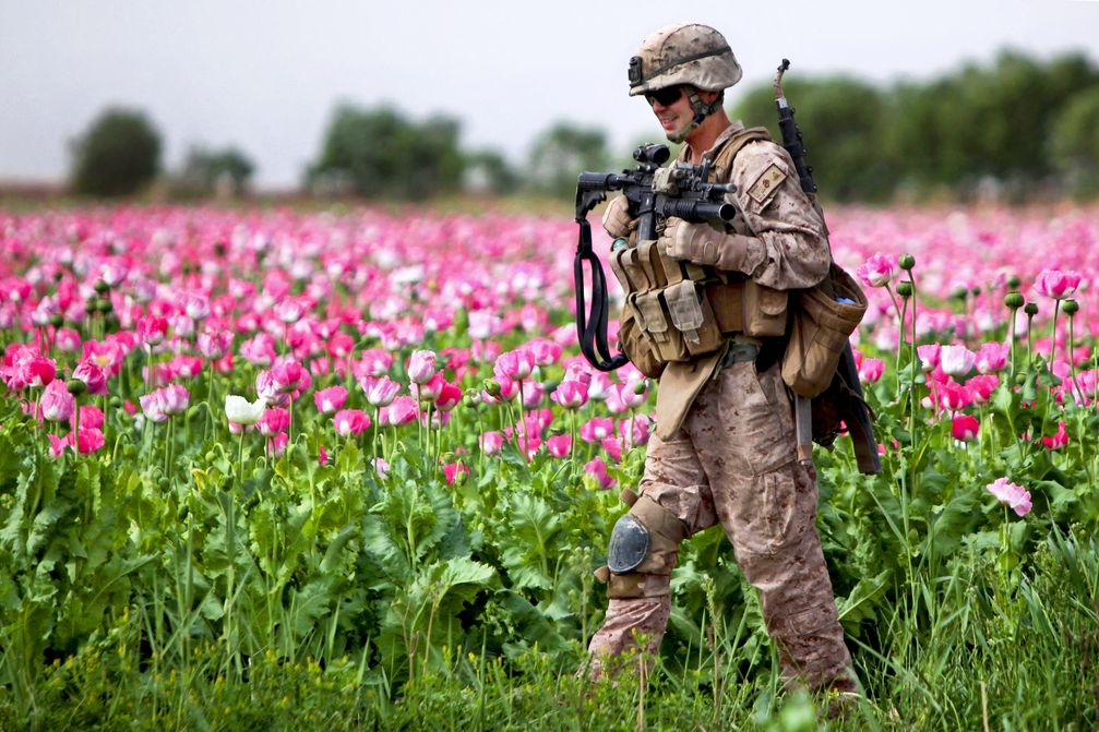 Soldat des U.S. Marine Corps in einem Mohnfeld in Afghanistan (2011), Archivbild