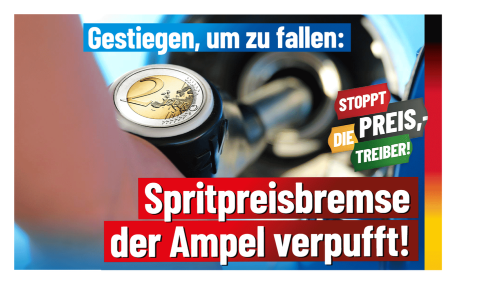 Bild: AfD Deutschland