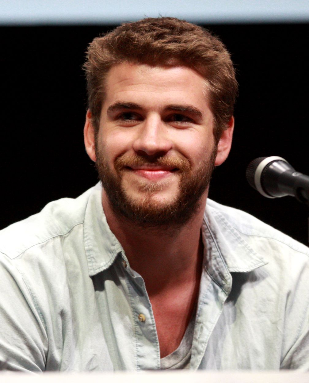 Liam Hemsworth bei der Comic-Con 2013