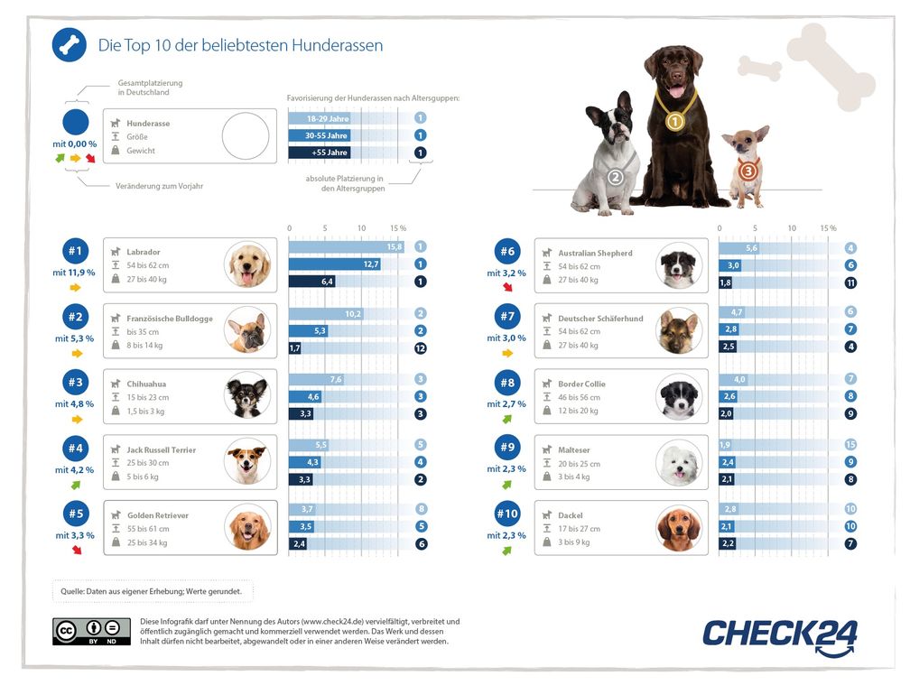 Beliebteste Hunderassen Bild: "obs/CHECK24 GmbH"