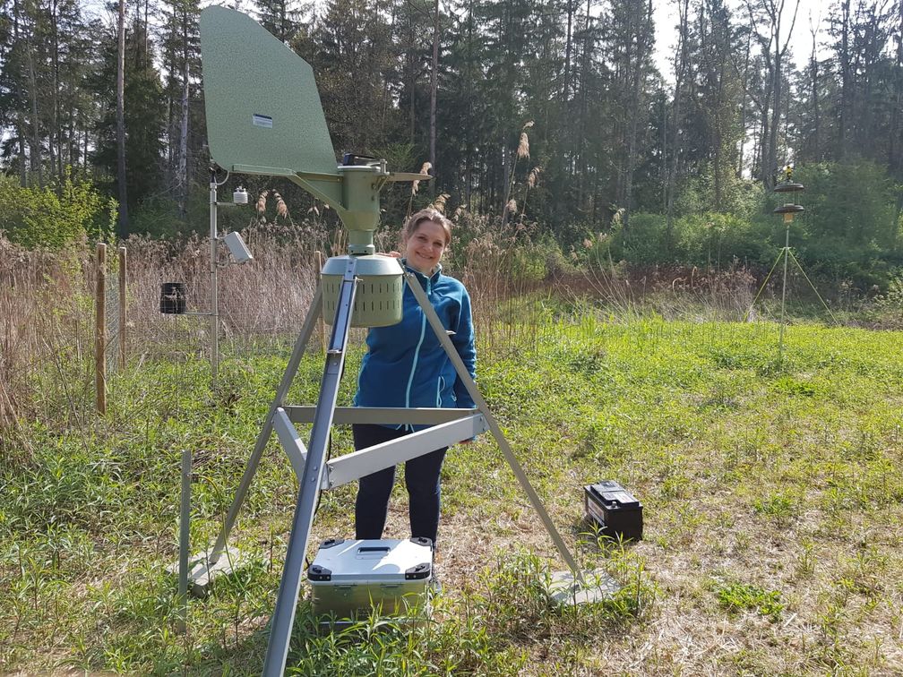 Im Auwald hat die Wissenschaftlerin auch elf Pollenfallen installiert, um den Pollenflug zu dokumentieren. Täglich müssen die Objektträger ge-wechselt werden, an denen die Pollen haften bleiben.
Quelle: Anna Eisen/upd (idw)