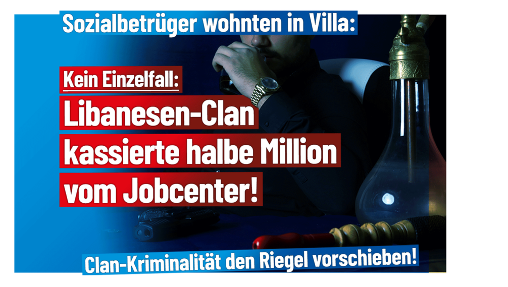 Bild: AfD Deutschland