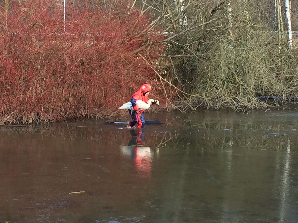 Foto: Feuerwehr Mülheim