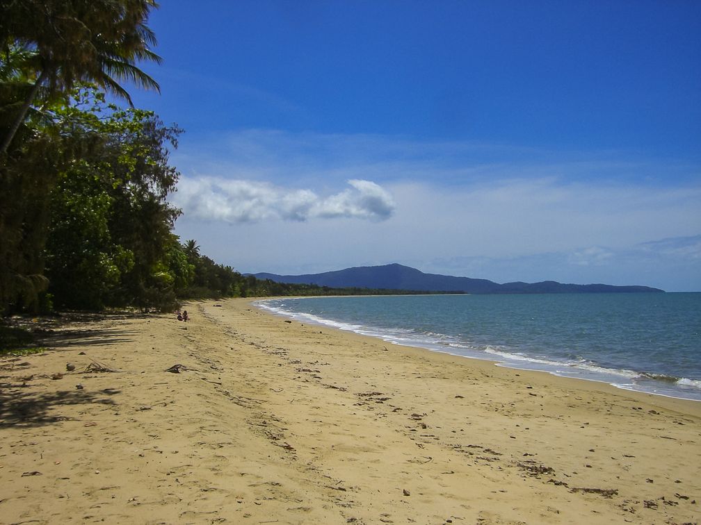 Daintree-Nationalpark