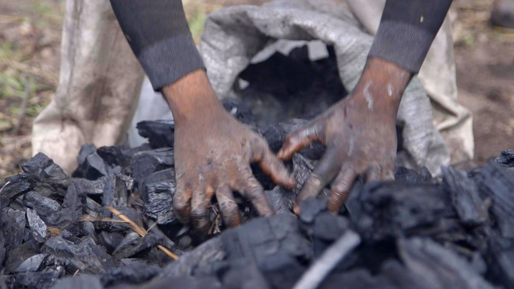 Holzkohle-Herstellung in Nigeria: Das ist Handarbeit. Bild: "obs/ZDF/Jonathan Happ"