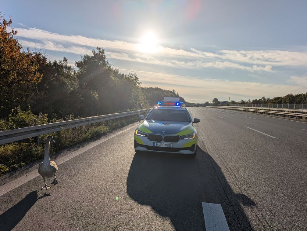 Bild: Polizei