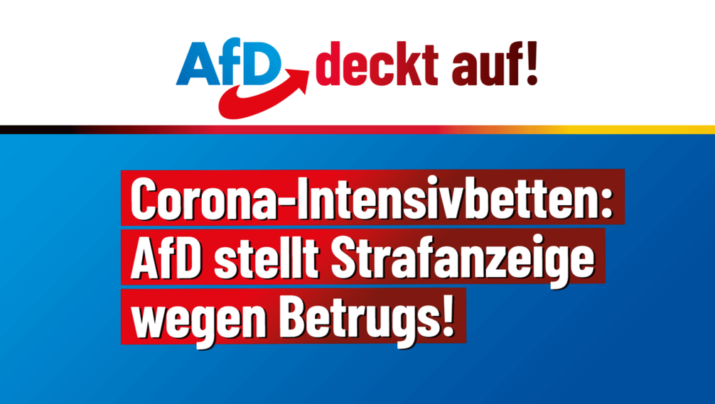 Bild: AfD Deutschland