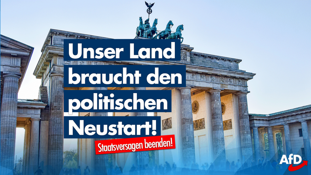 Bild: AfD Deutschland