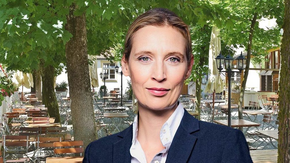 Dr. Alice Weidel (2020)