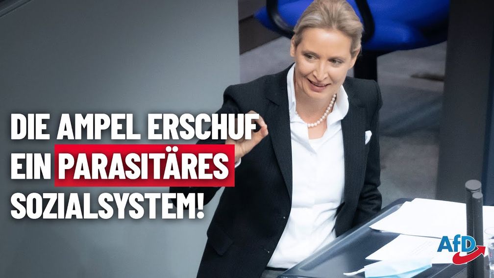 Bild: AfD Deutschland