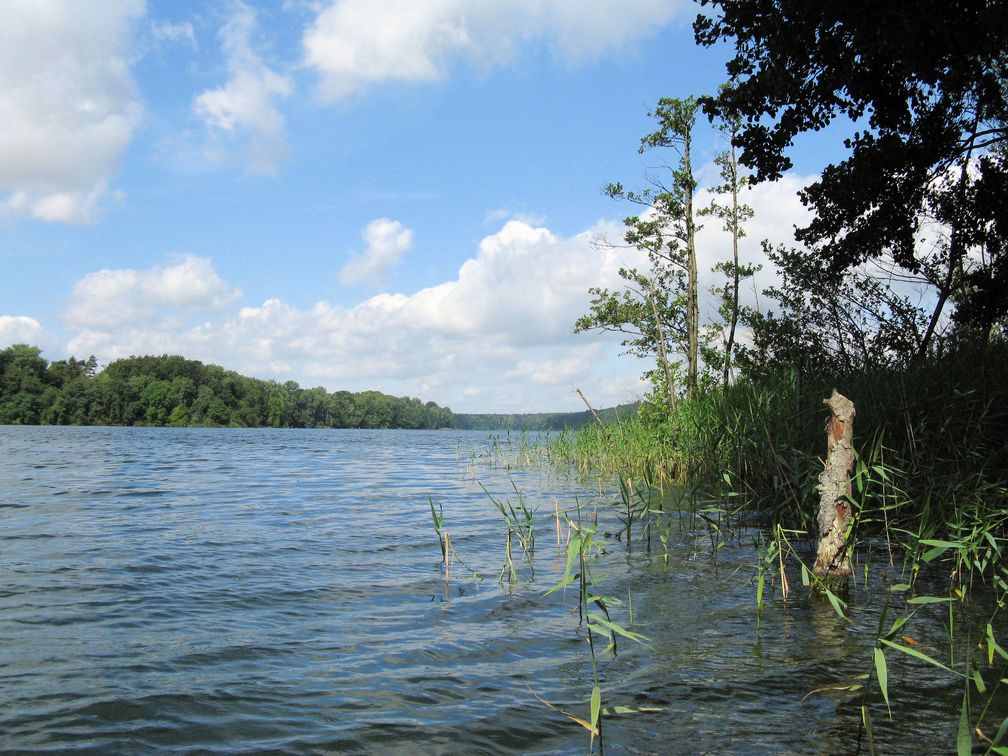 Neumühler See (Symbolbild)