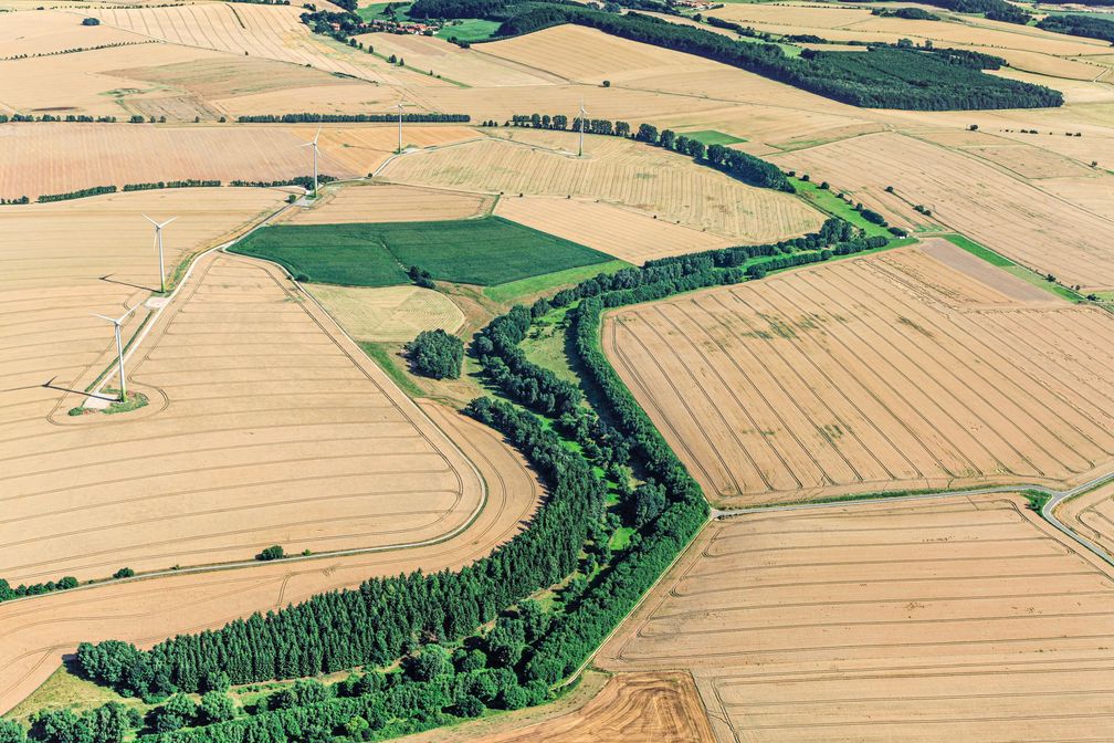 Das Grüne Band Thüringen-Niedersachsen bei Freiendorf - Das Grüne Band durchläuft auf seinen 1393 Kilometern neun Bundesländer  Bild: Klaus Leidorf/BUND Fotograf: Klaus Leidorf