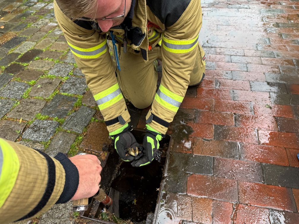 Bild: Feuerwehr
