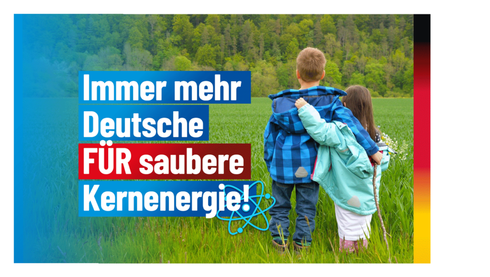 Bild: AfD Deutschland