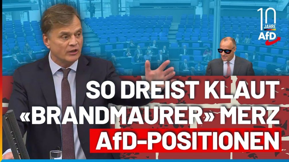 Bild: AfD Deutschland
