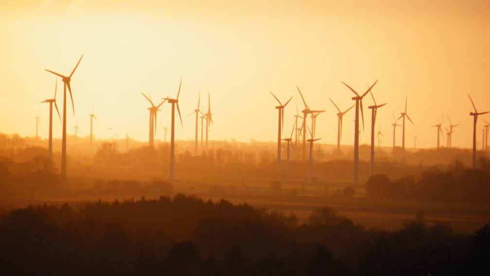 Stoppt grüne Umweltzerstörer: Greenpeace, Deutsche Umwelthilfe & „Erleuchtete“ wollen Naturschutz für die Ausbreitung von Windkraftmaschinen plattmachen.