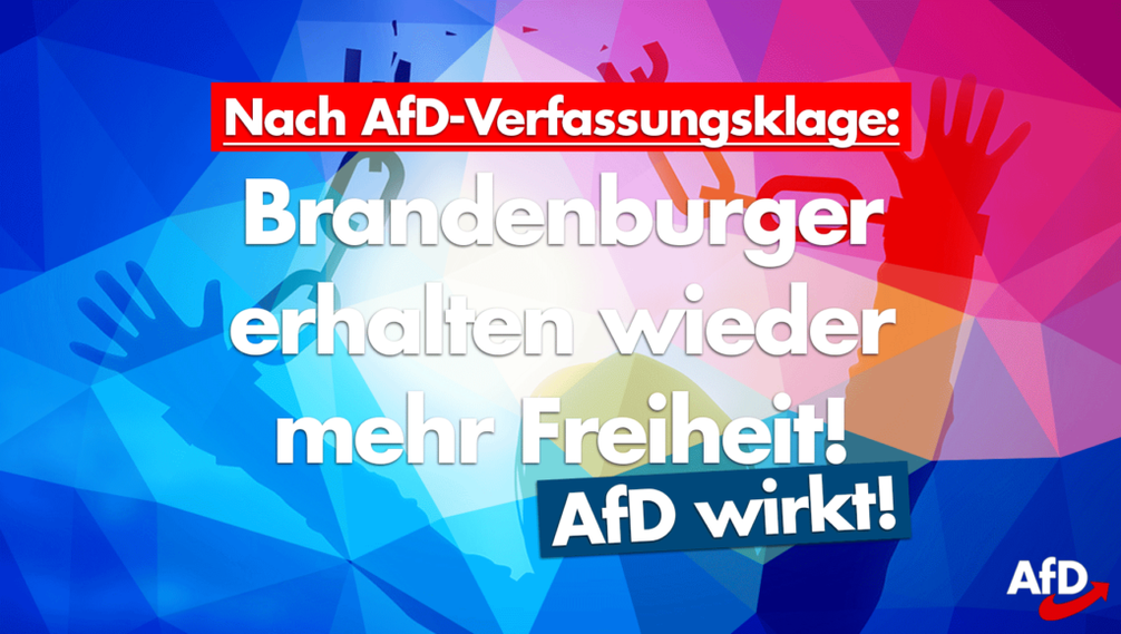 Bild: AfD Deutschland