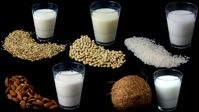 Milchersatzprodukte gibt es mittlerweile aus Hafer, Soja, Reis, Mandeln und Kokusnuss.  Bild: Verbraucherzentrale Nordrhein-Westfalen e.V. Fotograf: Verbraucherzentrale NRW