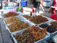 Frittierte Insekten in einem Markt in Bangkok, Thailand