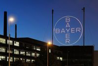 Das Bayer-Kreuz bei Nacht. Bild: Bayer AG