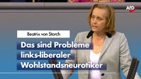 Beatrix von Storch (2020)