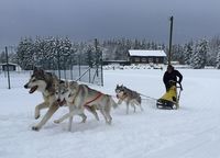 Mathias Klatt beim Training in Frauenwlad. Bild: Anke Schiller-Mönch