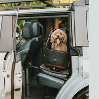 Bild: Tavo Pets Fotograf: Tavo Pets