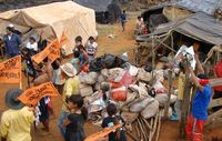 Guarani-Indianer, die von ihrem Land vertrieben wurden, leben am Straßenrand in bitterer Armut. Bild: CIMI