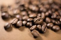 Kaffeebohnen: Koffeintabletten steigern Gedächtnis. Bild: pixelio.de, R. Sturm