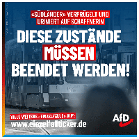 Bild: AfD Deutschland