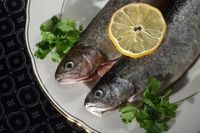Fisch ist wegen des hohen Gehalts an Omega-3-Fettsäuren sehr gesund. Wie diese Fettsäuren im Körper wirken, das haben Forscher der Uni Jena und des Jenaer Uniklinikums untersucht.
Quelle: Foto: Jan-Peter Kasper/FSU (idw)