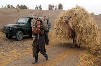 Afghane mit schwer beladenem Kamel. Bild: PIZ Kunduz