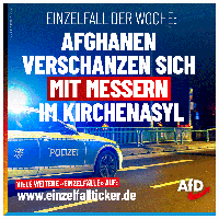 Bild: AfD Deutschland