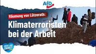 Bild: AfD Deutschland