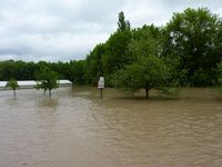 Obernbreit, 31. Mai 2013